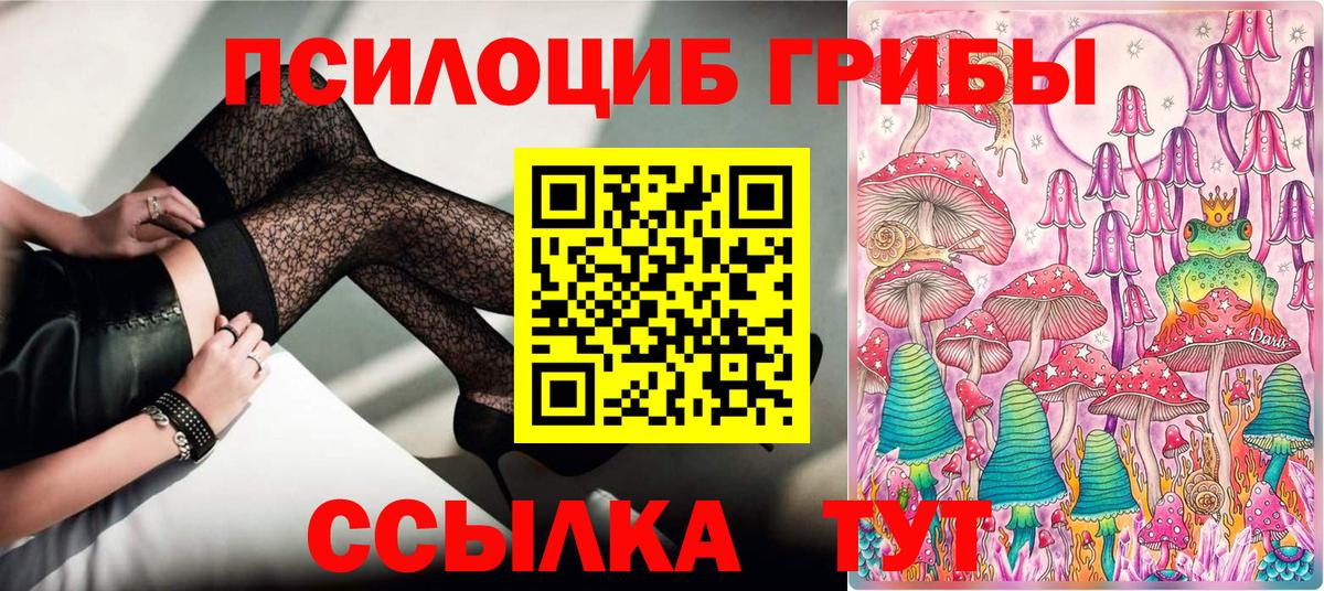 купить закладку  Псилоцибиновые грибы Magic Shrooms  Королёв  Вход с VPN  Галлюциногенные грибы прущие грибы 